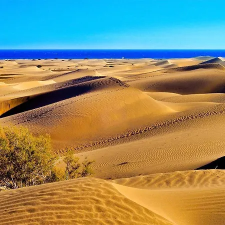Lejlighed Vintage Maspalomas Gay Men Only *